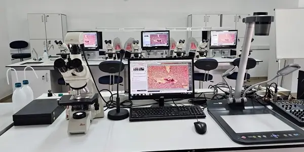 Labor in der Eastern Mediterranean Universität - EMU in Zypern