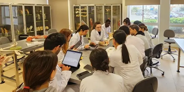 Studierende an der Eastern Mediterranean Universität - EMU in Zypern